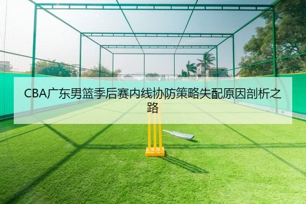 CBA广东男篮季后赛内线协防策略失配原因剖析之路