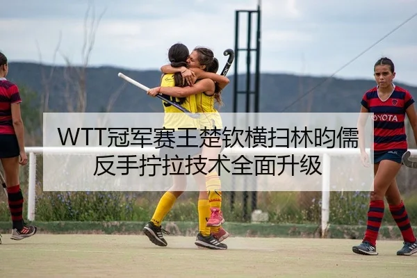 WTT冠军赛王楚钦横扫林昀儒 反手拧拉技术全面升级